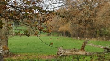 View from the Winchester Road