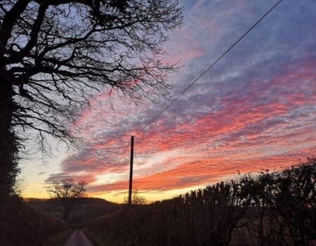 Wildlife Blog by Ron Allen – 28 December 2020