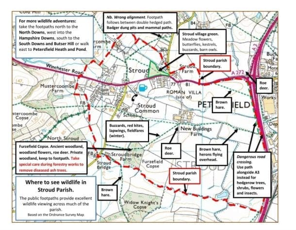 Stroud Wildlife Map by Ron Allen