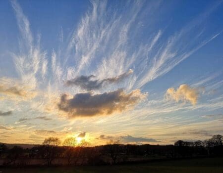 Wildlife Blog by Ron Allen – 8th January 2021