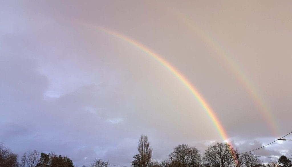 ! 7 IMG_20210122_160151 Double rainbow Reduced