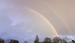 ! 7 IMG_20210122_160151 Double rainbow Reduced