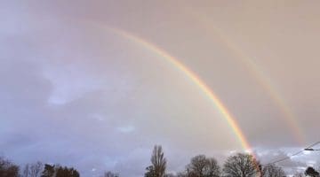 ! 7 IMG_20210122_160151 Double rainbow Reduced