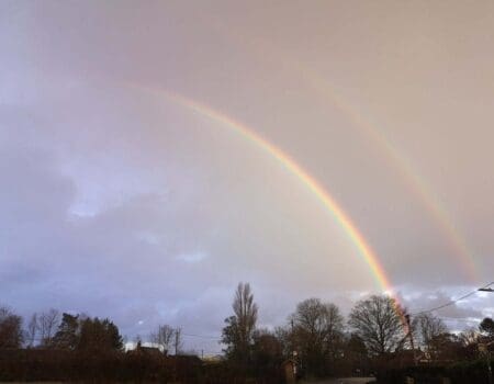 Wildlife Blog by Ron Allen – 22nd January 2021