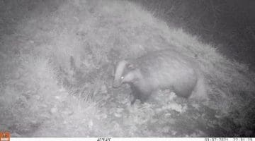 1 03020057 Mar 2 2021 bdgrlwrssett pose still from vid