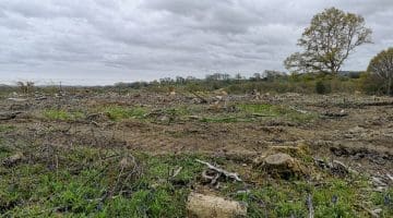 1 ! IMG_20210503_173044 Cleared woodland