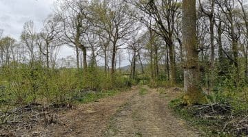 2 ! IMG_20210503_172554 Public foopath