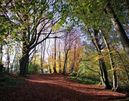 Wildlife Blog by Ron Allen – 06 December 2021