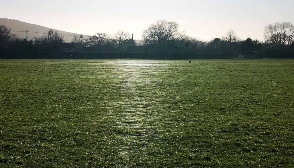 2 IMG_20220112_142244 Spider glitter path EC Reduced