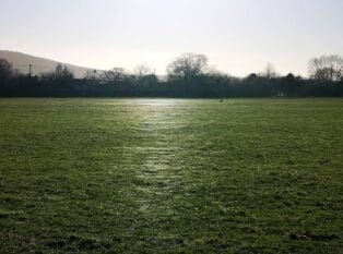 Glitter path as spiderlings gossamer strands catch the low winter sun