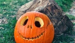 rohan-reddy-9fziCJoXrFo-unsplash